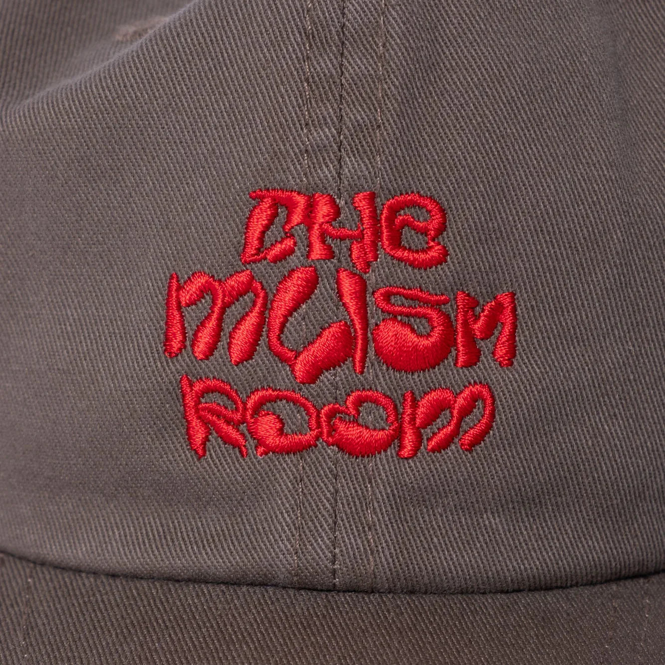 Never Never The Mush Room 6 Panel Hat - Washed Brown