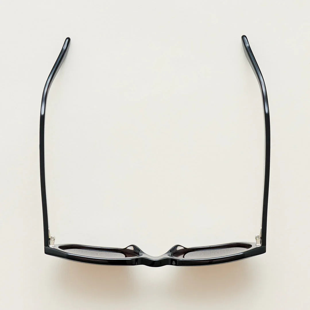 Sub Sun SUB002 Sunglasses - Transparent Black/Brown