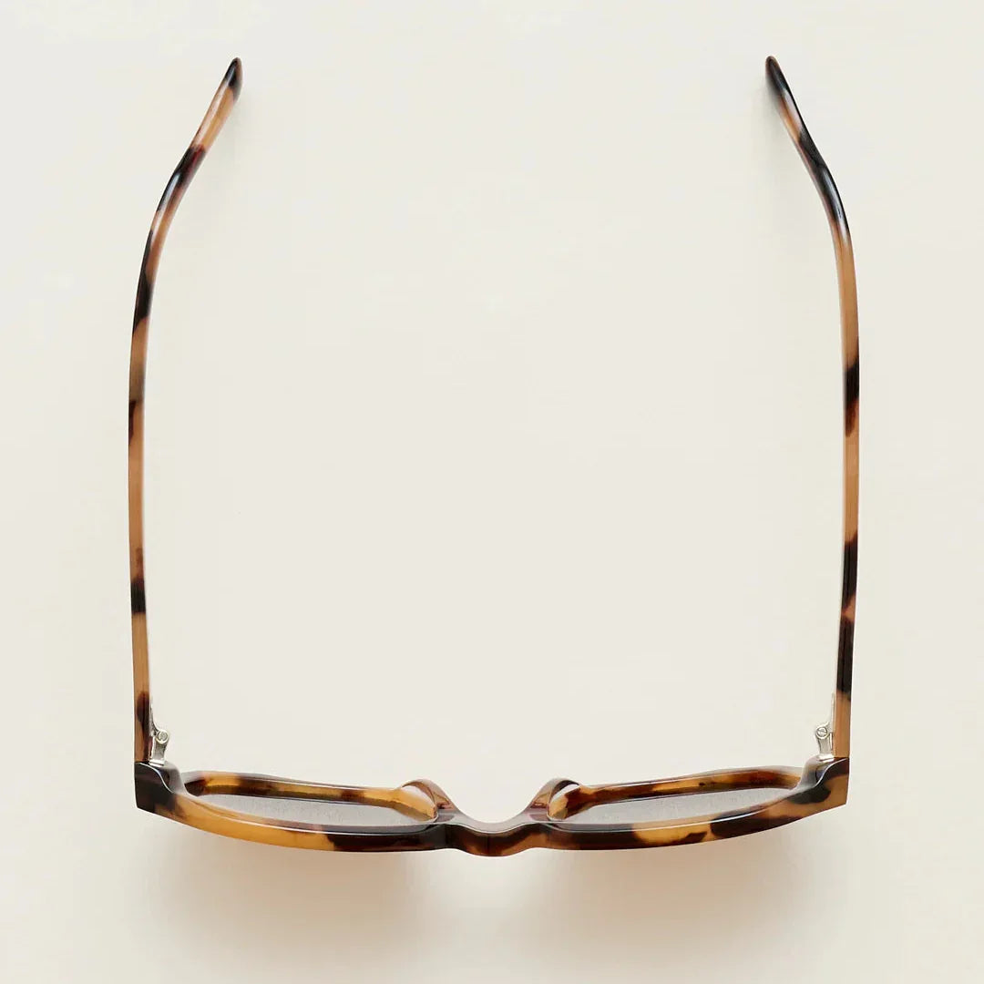 Sub Sun SUB004 Sunglasses - Tortoise Shell/Brown