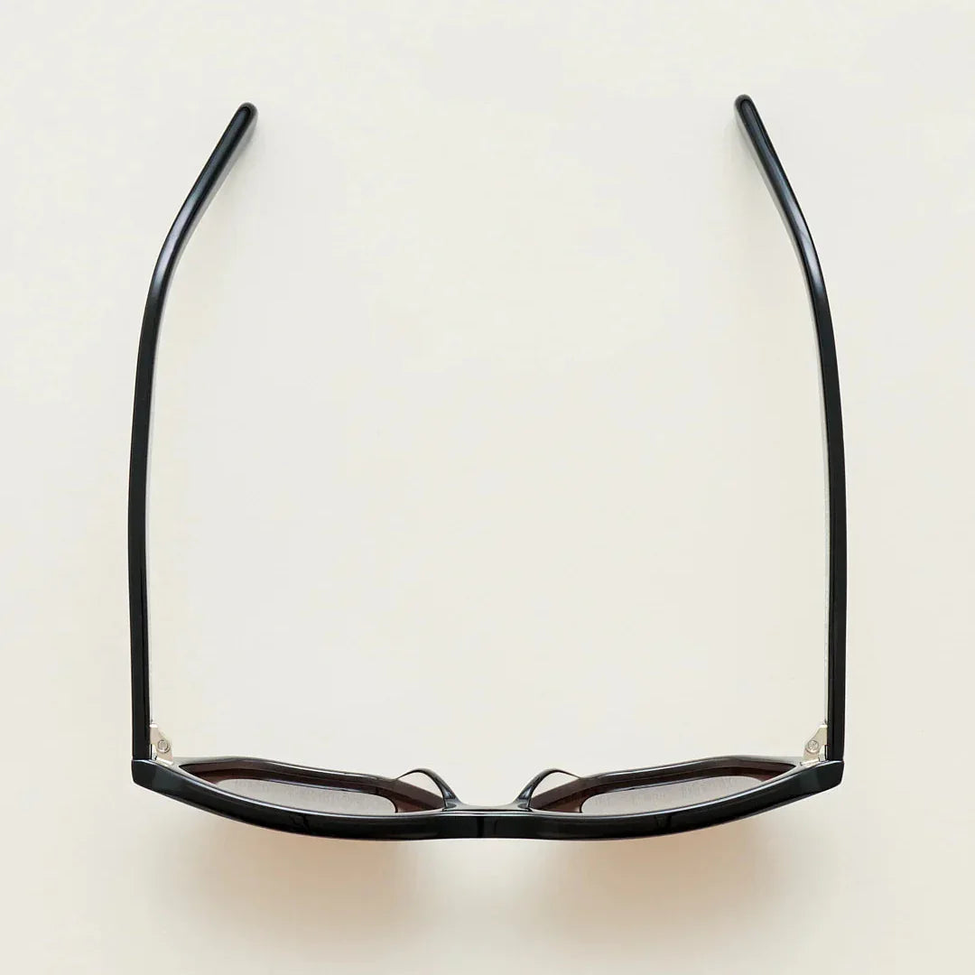 Sub Sun SUB016 Sunglasses - Transparent Black/Brown