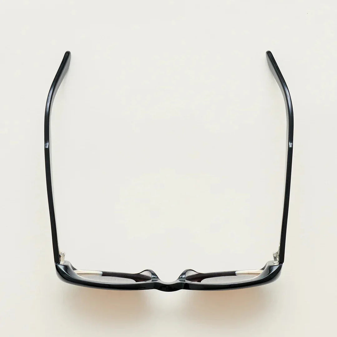Sub Sun SUB018 Sunglasses - Transparent Black/Brown