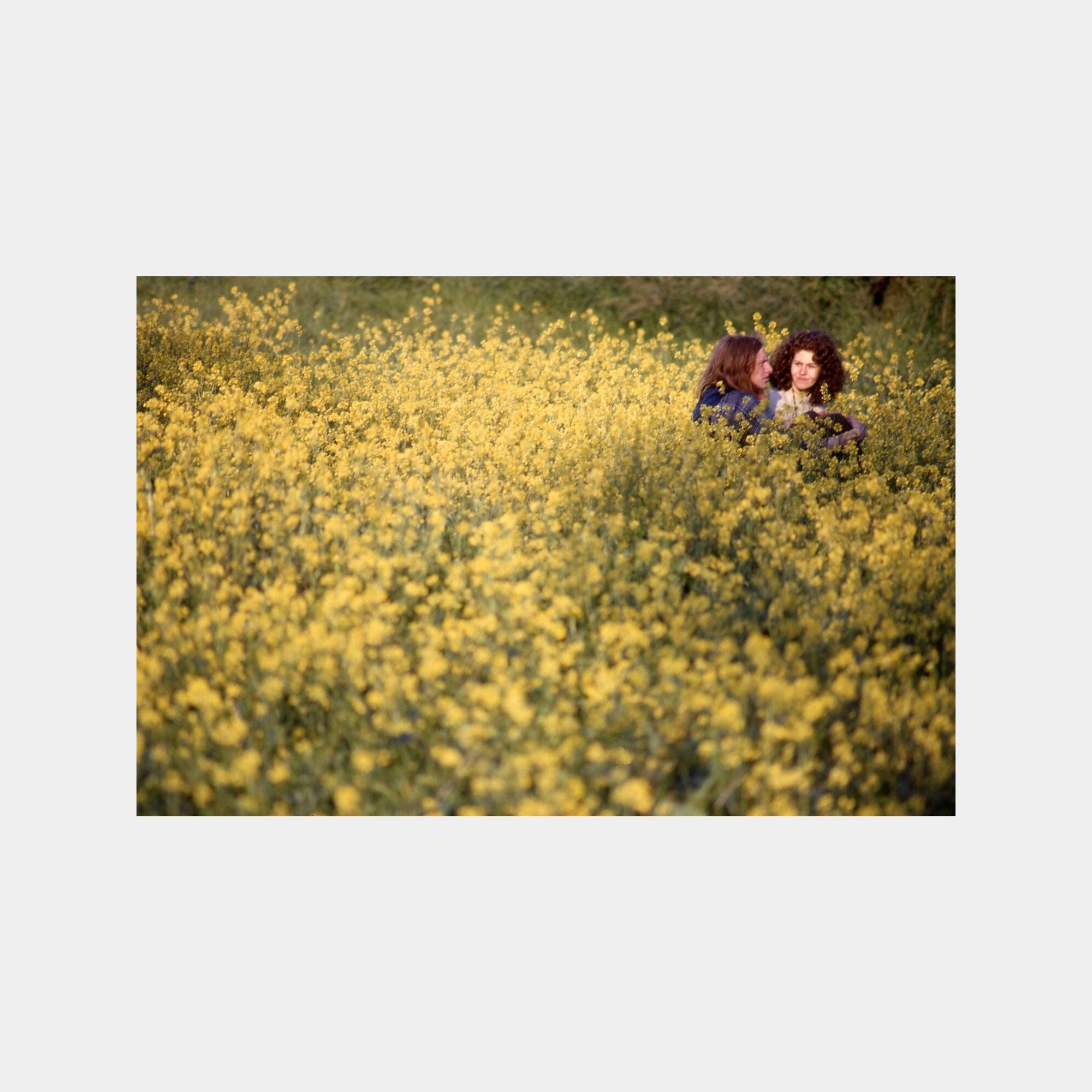 IDEA In the Vale of Avalon: Glastonbury Festival 1971 - Never Never