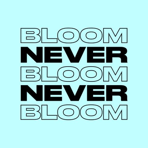 BLOOM - NEVER NEVER PRODUCTION MIX