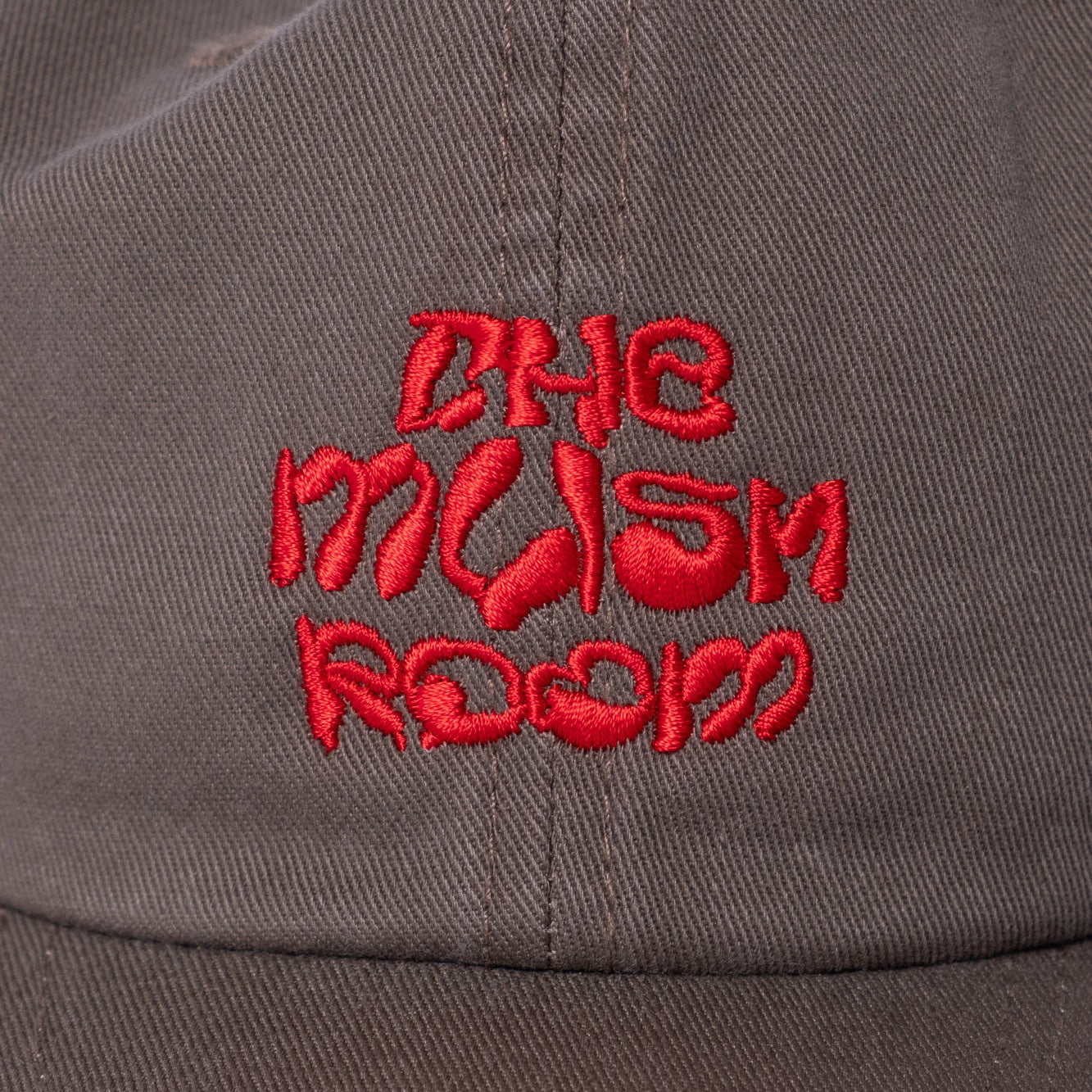 Never Never The Mush Room 6 Panel Hat - Washed Brown