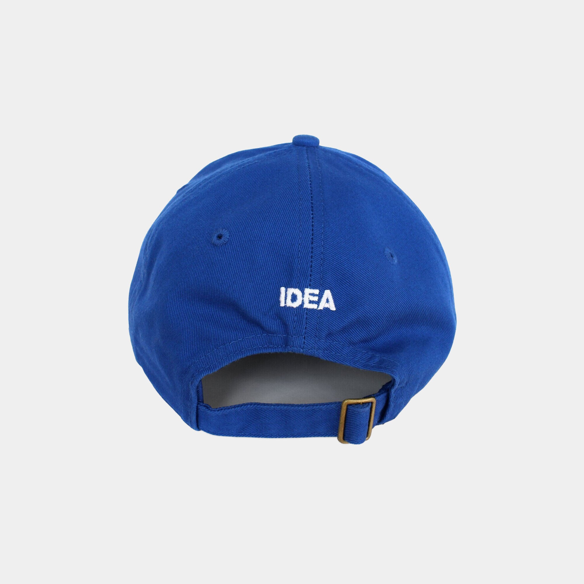 IDEA Flight Risk Hat - Blue