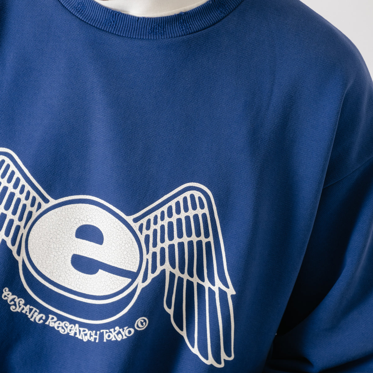 ECSTATIC Research Every Closet Door Crew Sweater - Royal Blue