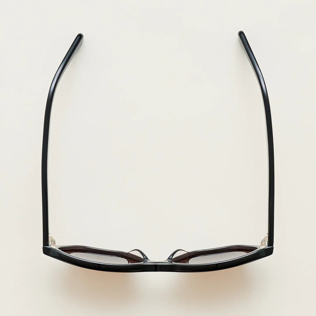 Sub Sun SUB016 Sunglasses - Transparent Black/Brown