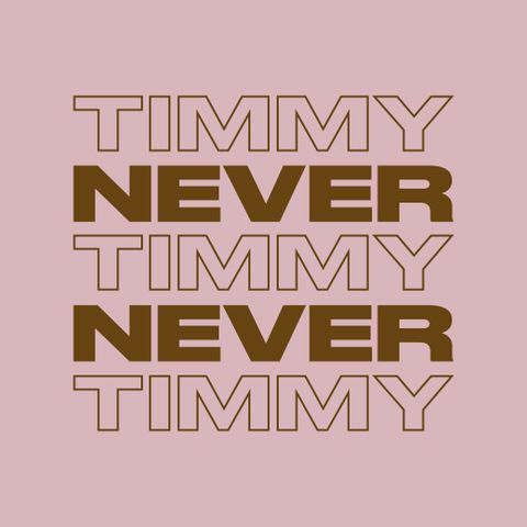 NEVER NEVER - TIMMY STEWART